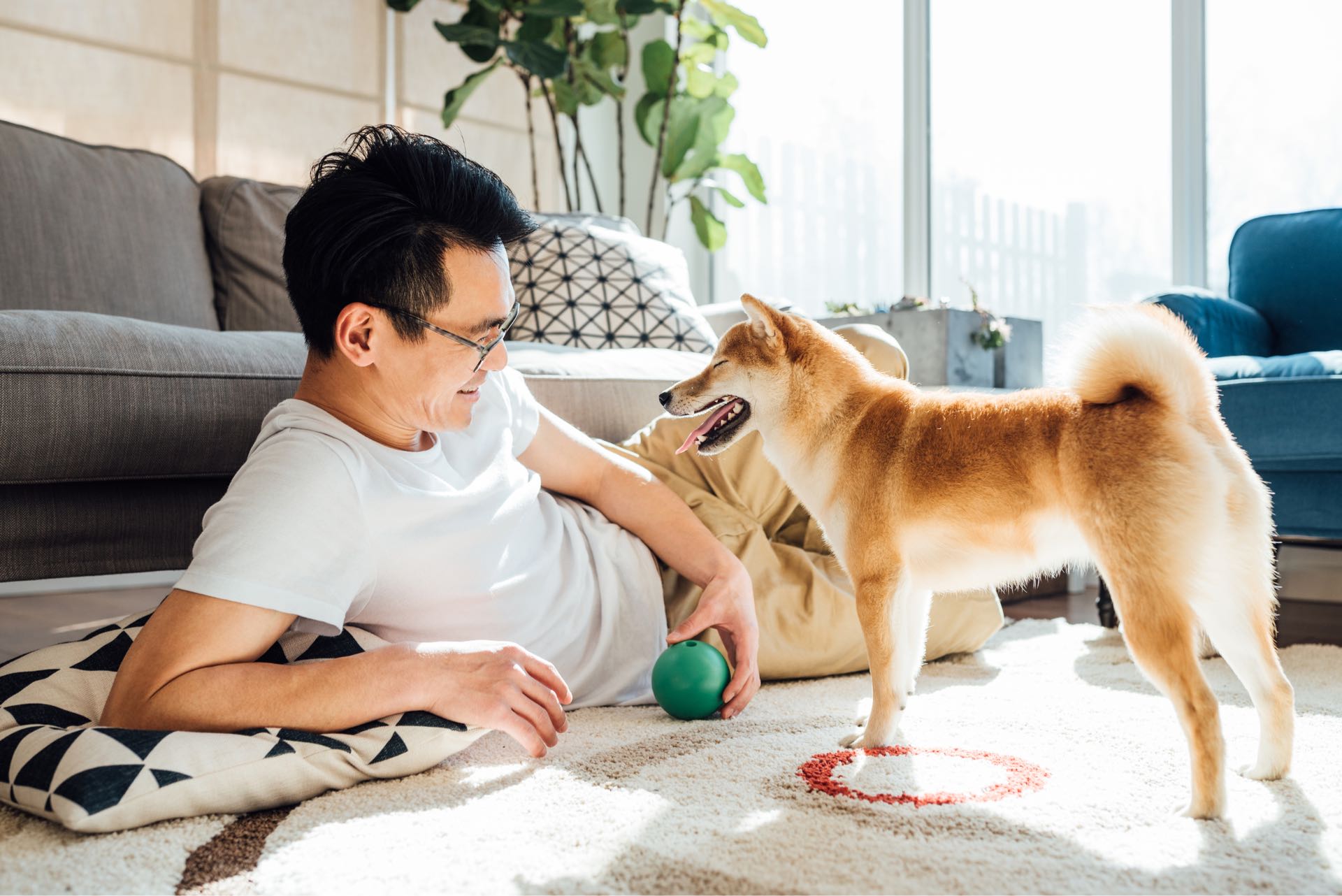 Pet-Friendly Parks Near One Cathedral Square in Philadelphia